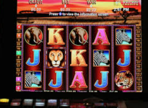 星空全站客户端