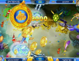 星空全站2024最新版