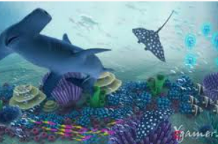 星空全站2024最新版