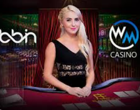 星空全站2024最新版